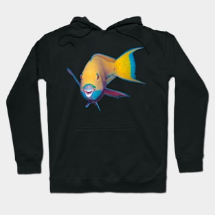 Parrotfish | What a striking make-up! | Hoodie